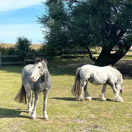 Apartment Santa Maria Teichhof Fehmarn Wenkendorf