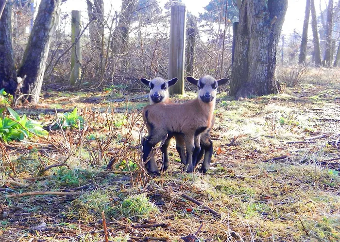 Santa Maria Teichhof Fehmarn Apartment *