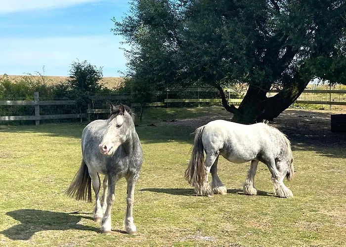 Apartment Santa Maria Teichhof Fehmarn Wenkendorf